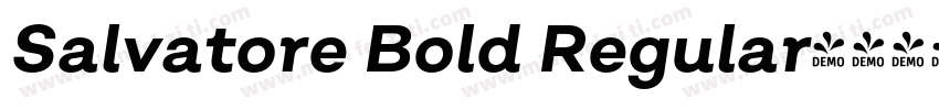 Salvatore Bold Regular字体转换
